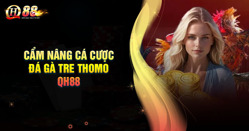 Cẩm nang cá cược đá gà Tre Thomo bách thắng