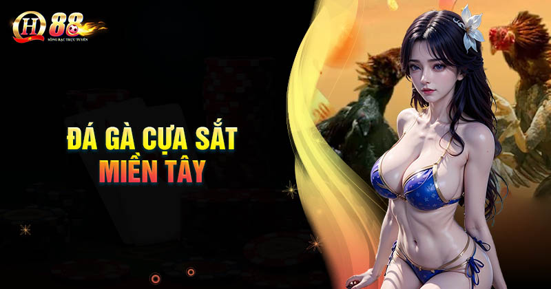 da-ga-cua-sat-mien-tay-qh88-dang-ky-nhan-uu-dai-khung