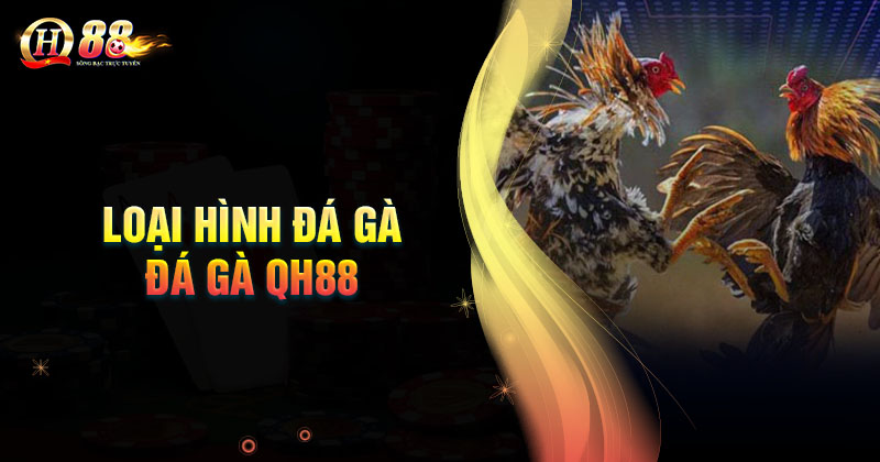 mot-so-loai-hinh-da-ga-co-ban-tai-qh88